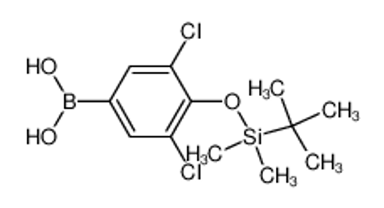 Picture of 4-(tert-Butyldimethylsilyloxy)-3,5-dichlorophenylboronic acid