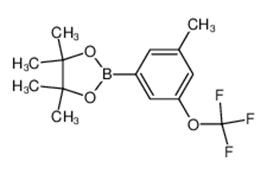 Picture of 3-Methyl-5-(trifluoromethoxy)phenylboronic acid, pinacol ester