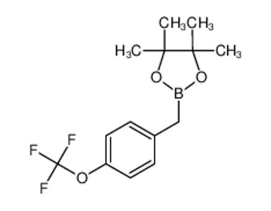 Picture of 4,4,5,5-tetramethyl-2-[[4-(trifluoromethoxy)phenyl]methyl]-1,3,2-dioxaborolane