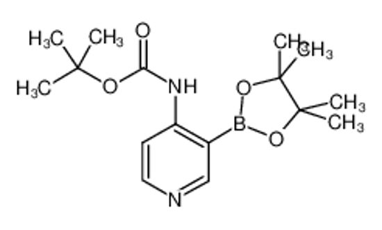 Imagem de 4-Boc-Aminopyridine-3-boronic acid, pinacol ester