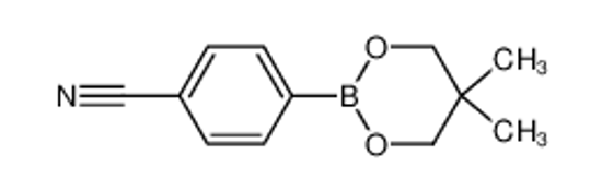 Imagem de 4-(5,5-dimethyl-1,3,2-dioxaborinan-2-yl)benzonitrile
