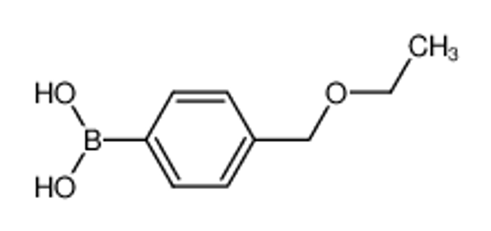 Picture of [4-(ethoxymethyl)phenyl]boronic acid