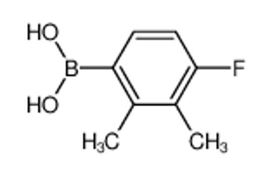 Picture of (4-fluoro-2,3-dimethylphenyl)boronic acid
