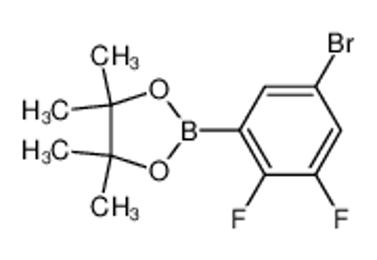 Picture of 2-(5-Bromo-2,3-difluorophenyl)-4,4,5,5-tetramethyl-1,3,2-dioxaborolane