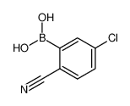 Picture of 5-Chloro-2-cyanophenylboronic acid