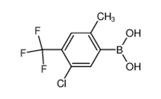 Picture of 5-Chloro-2-methyl-4-(trifluoromethyl)phenylboronic acid