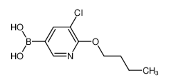 Picture of (6-Butoxy-5-chloropyridin-3-yl)boronic acid