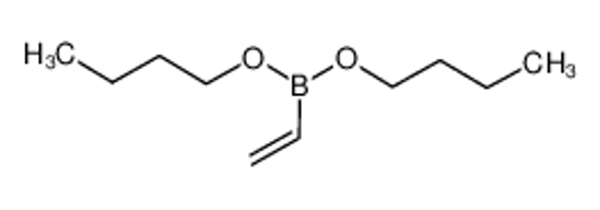 Picture of Dibutyl Vinylboronate