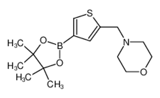 Picture of 4-[[4-(4,4,5,5-tetramethyl-1,3,2-dioxaborolan-2-yl)thiophen-2-yl]methyl]morpholine