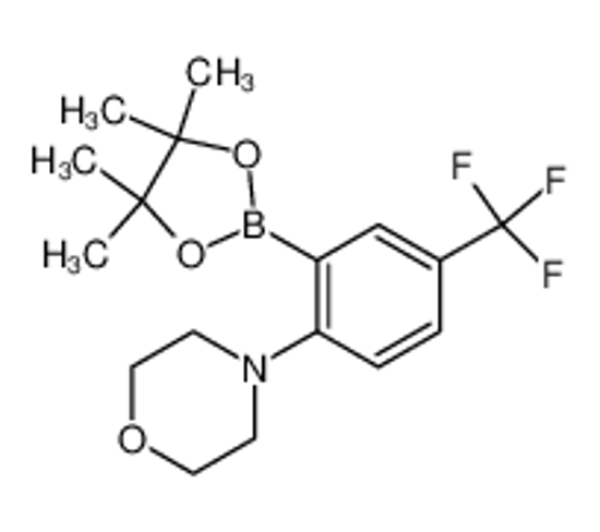Picture of 4-[2-(4,4,5,5-tetramethyl-1,3,2-dioxaborolan-2-yl)-4-(trifluoromethyl)phenyl]morpholine