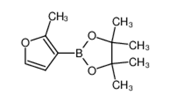 Изображение 4,4,5,5-Tetramethyl-2-(2-methylfuran-3-yl)-1,3,2-dioxaborolane