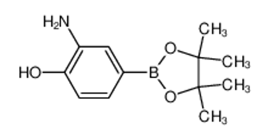 Picture of 3-Amino-4-hydroxyphenylboronic acid pinacol ester