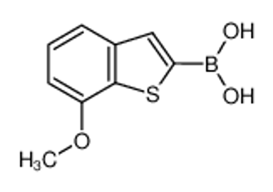 Picture of (7-methoxy-1-benzothiophen-2-yl)boronic acid