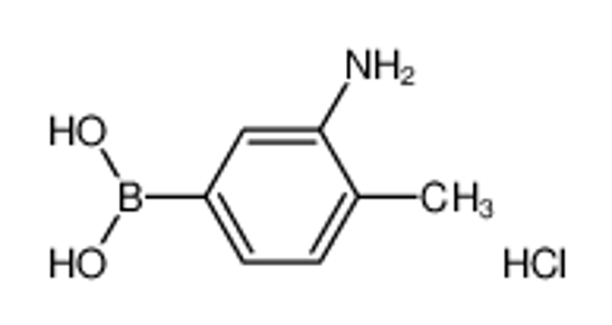 Picture of 3-Amino-4-methylphenylboronic acid, HCl