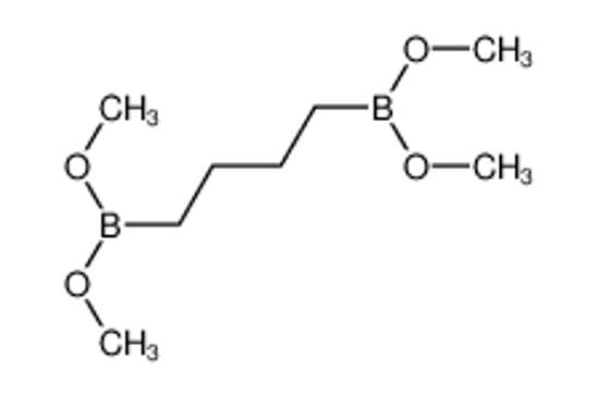 Picture of 4-dimethoxyboranylbutyl(dimethoxy)borane