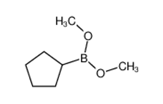 Picture of cyclopentyl(dimethoxy)borane