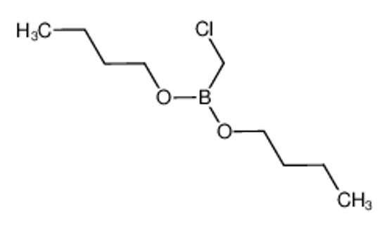 Picture of dibutoxy(chloromethyl)borane