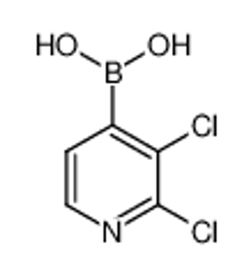 Picture of 2,3-Dichloropyridine-4-boronic acid