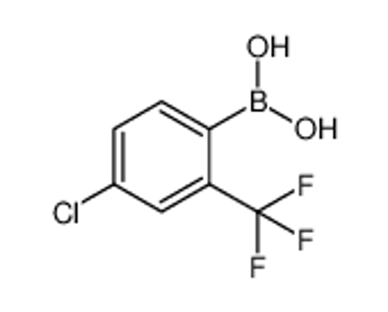 Picture of [4-chloro-2-(trifluoromethyl)phenyl]boronic acid