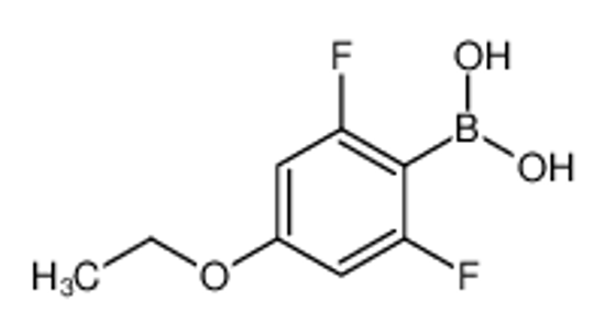 Picture of (4-Ethoxy-2,6-difluorophenyl)boronic acid