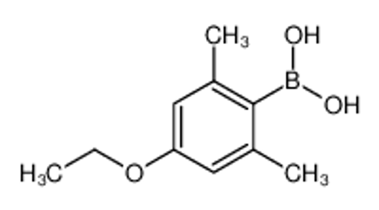 Picture of (4-Ethoxy-2,6-dimethylphenyl)boronic acid