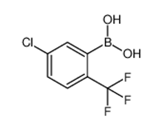 Picture of (5-Chloro-2-(trifluoromethyl)phenyl)boronic acid
