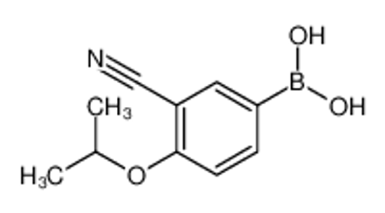 Picture of (3-Cyano-4-isopropoxyphenyl)boronic acid