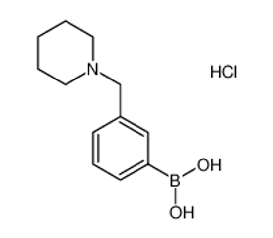 Picture of [3-(piperidin-1-ylmethyl)phenyl]boronic acid,hydrochloride
