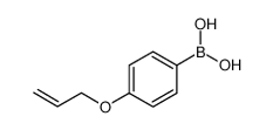 Picture of (4-prop-2-enoxyphenyl)boronic acid