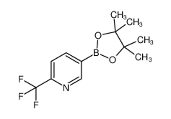 Изображение 2-(Trifluoromethyl)pyridine-5-boronic Acid Pinacol Ester