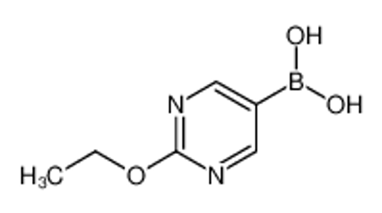 Picture of (2-Ethoxypyrimidin-5-yl)boronic acid