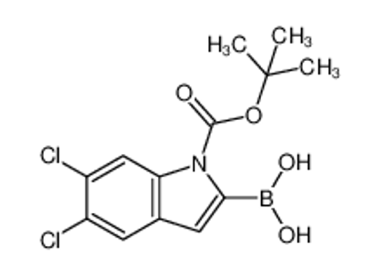 Picture of [5,6-dichloro-1-[(2-methylpropan-2-yl)oxycarbonyl]indol-2-yl]boronic acid