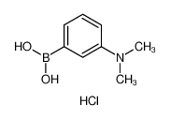 Picture of 3-(Dimethylamino)Phenylboronic Acid Hydrochloride