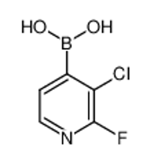 Изображение (3-chloro-2-fluoropyridin-4-yl)boronic acid