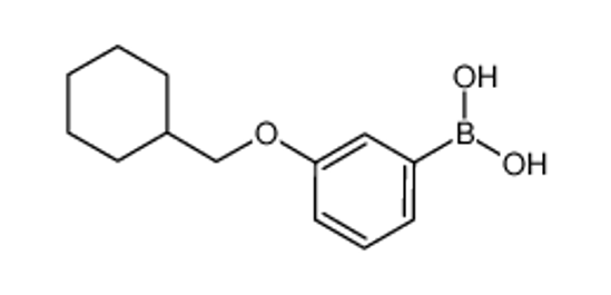 Picture of [3-(Cyclohexylmethoxy)phenyl]boronic acid