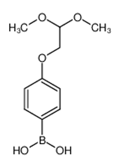 Picture of [4-(2,2-Dimethoxyethoxy)phenyl]boronic acid