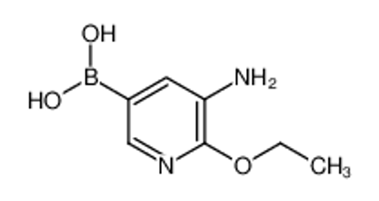 Picture of (5-Amino-6-ethoxypyridin-3-yl)boronic acid