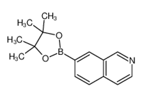 Picture of 7-(4,4,5,5-Tetramethyl-1,3,2-dioxaborolan-2-yl)isoquinoline