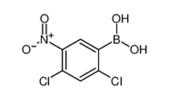 Picture of (2,4-Dichloro-5-nitrophenyl)boronic acid