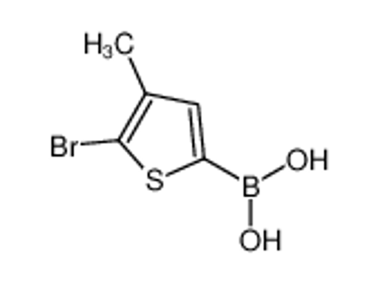 Изображение (5-Bromo-4-methylthiophen-2-yl)boronic acid