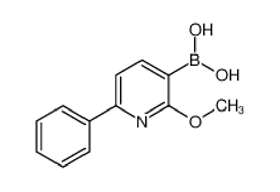 Изображение (2-Methoxy-6-phenylpyridin-3-yl)boronic acid