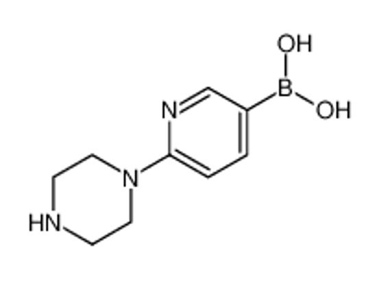 Picture of (6-piperazin-1-ylpyridin-3-yl)boronic acid