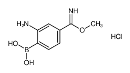 Изображение (2-Amino-4-(imino(methoxy)methyl)phenyl)boronic acid hydrochloride
