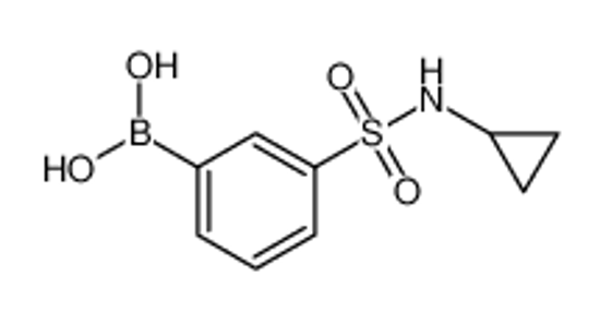 Picture of (3-(N-Cyclopropylsulfamoyl)phenyl)boronic acid