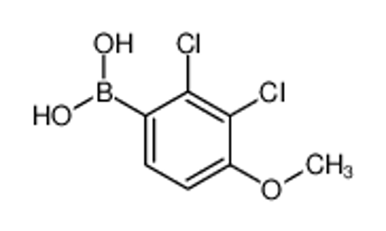 Изображение (2,3-Dichloro-4-methoxyphenyl)boronic acid