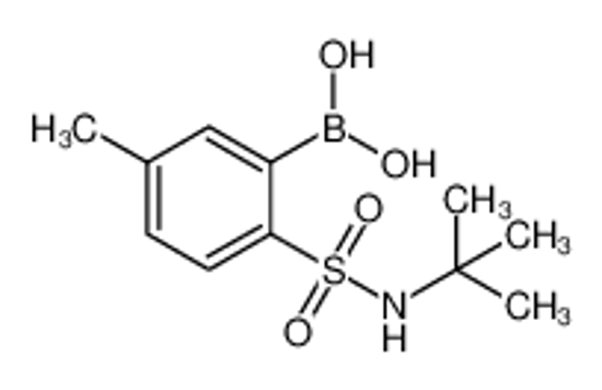 Picture of [2-(tert-butylsulfamoyl)-5-methylphenyl]boronic acid