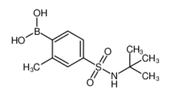 Picture of (4-(N-(tert-Butyl)sulfamoyl)-2-methylphenyl)boronic acid