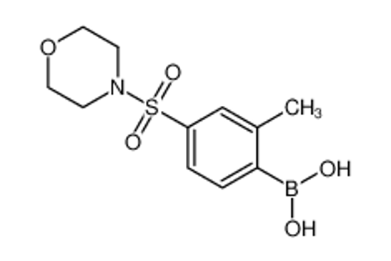 Picture of (2-Methyl-4-(morpholinosulfonyl)phenyl)boronic acid