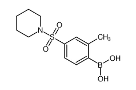 Picture of (2-Methyl-4-(piperidin-1-ylsulfonyl)phenyl)boronic acid