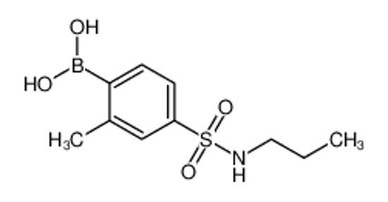 Picture of (2-Methyl-4-(N-propylsulfamoyl)phenyl)boronic acid